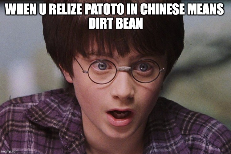 ligikkk | WHEN U RELIZE PATOTO IN CHINESE MEANS 
DIRT BEAN | image tagged in harry potter,funny | made w/ Imgflip meme maker