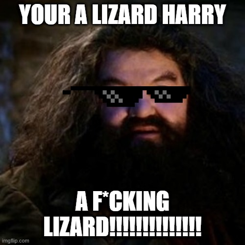 You're a wizard harry | YOUR A LIZARD HARRY; A F*CKING LIZARD!!!!!!!!!!!!!! | image tagged in you're a wizard harry | made w/ Imgflip meme maker