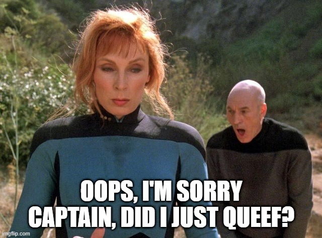 Looks Like You Did Doc | OOPS, I'M SORRY CAPTAIN, DID I JUST QUEEF? | image tagged in crusher picard | made w/ Imgflip meme maker