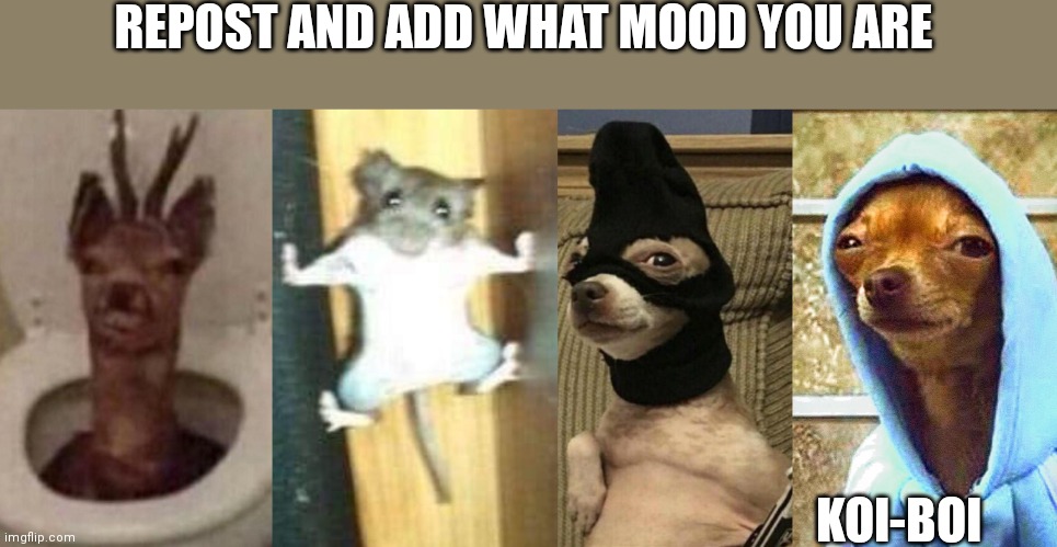 REPOST AND ADD WHAT MOOD YOU ARE; KOI-BOI | made w/ Imgflip meme maker