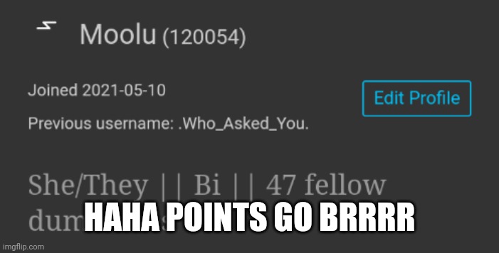Ty everyone who upvoted my trash memes | HAHA POINTS GO BRRRR | made w/ Imgflip meme maker