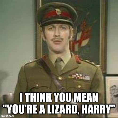 Far Too Silly | I THINK YOU MEAN "YOU'RE A LIZARD, HARRY" | image tagged in far too silly | made w/ Imgflip meme maker