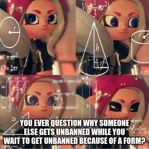 Veemo | YOU EVER QUESTION WHY SOMEONE ELSE GETS UNBANNED WHILE YOU WAIT TO GET UNBANNED BECAUSE OF A FORM? | image tagged in veemo | made w/ Imgflip meme maker