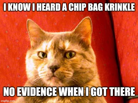 Suspicious Cat | I KNOW I HEARD A CHIP BAG KRINKLE; NO EVIDENCE WHEN I GOT THERE | image tagged in memes,suspicious cat | made w/ Imgflip meme maker