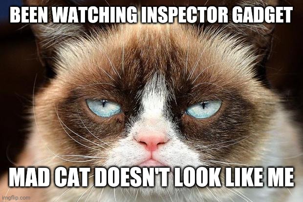 Grumpy Cat Not Amused | BEEN WATCHING INSPECTOR GADGET; MAD CAT DOESN'T LOOK LIKE ME | image tagged in memes,grumpy cat not amused,grumpy cat | made w/ Imgflip meme maker