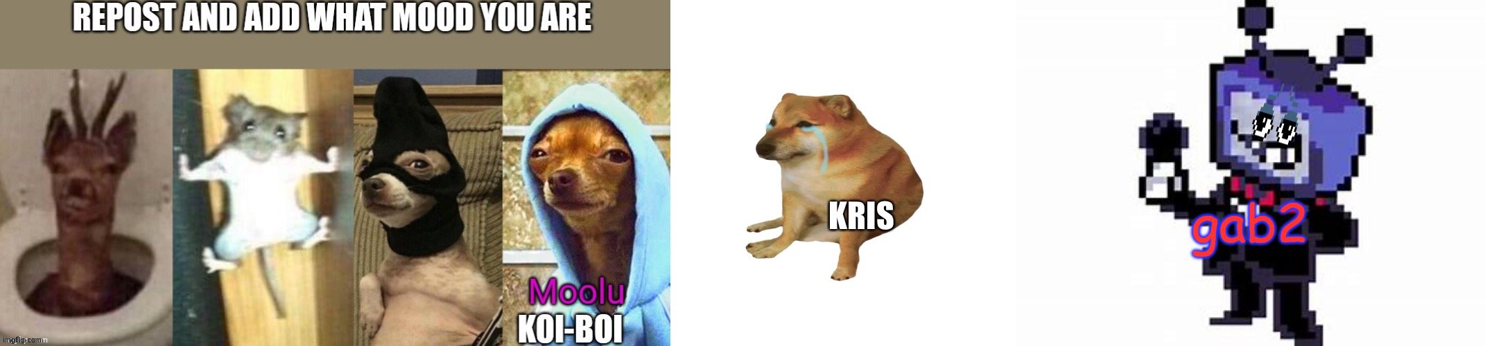 gab2 | image tagged in memes | made w/ Imgflip meme maker