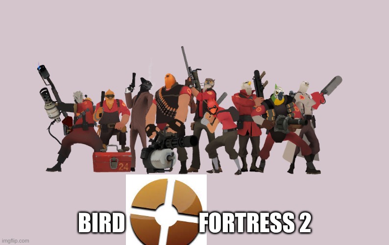 BIRB fortress 2 | BIRD                 FORTRESS 2 | image tagged in funny,tf2 | made w/ Imgflip meme maker