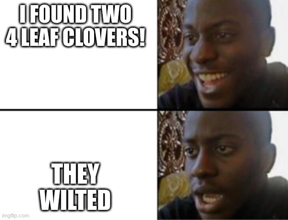 I know this sounds impossible but when I since my P.E. class is one of my first classes, it wilted in my pocket | I FOUND TWO 4 LEAF CLOVERS! THEY WILTED | image tagged in oh yeah oh no | made w/ Imgflip meme maker