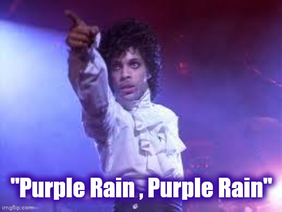 Prince | "Purple Rain , Purple Rain" | image tagged in prince | made w/ Imgflip meme maker