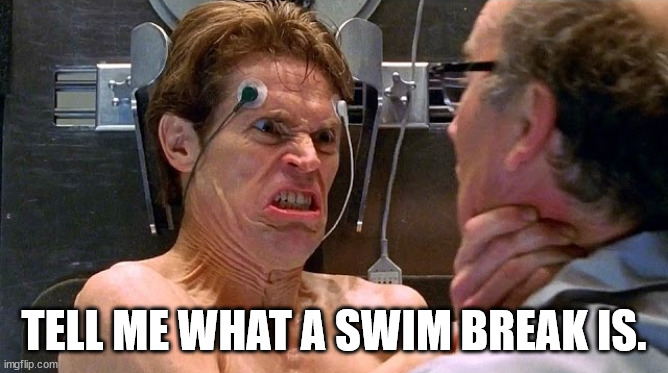 Back to formula Green Goblin | TELL ME WHAT A SWIM BREAK IS. | image tagged in back to formula green goblin | made w/ Imgflip meme maker