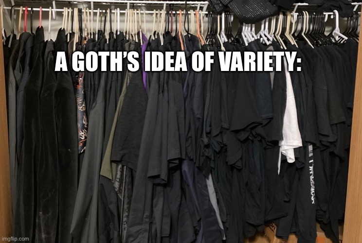 Goth closet | A GOTH’S IDEA OF VARIETY: | image tagged in goth,goth closet,black clothes | made w/ Imgflip meme maker