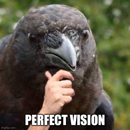 Seems Accurate | PERFECT VISION | image tagged in seems accurate | made w/ Imgflip meme maker