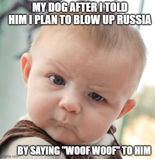 WHAT |  MY DOG AFTER I TOLD HIM I PLAN TO BLOW UP RUSSIA; BY SAYING "WOOF WOOF" TO HIM | image tagged in memes,skeptical baby | made w/ Imgflip meme maker