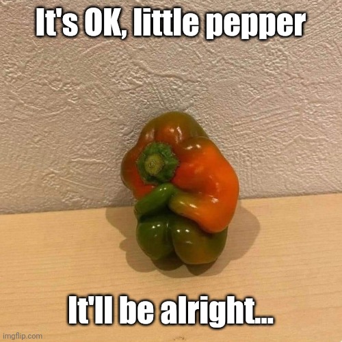 He must've seen the other veggies rotting away in my fridge... | It's OK, little pepper; It'll be alright... | image tagged in scared,green,pepper,cute,vegetable | made w/ Imgflip meme maker