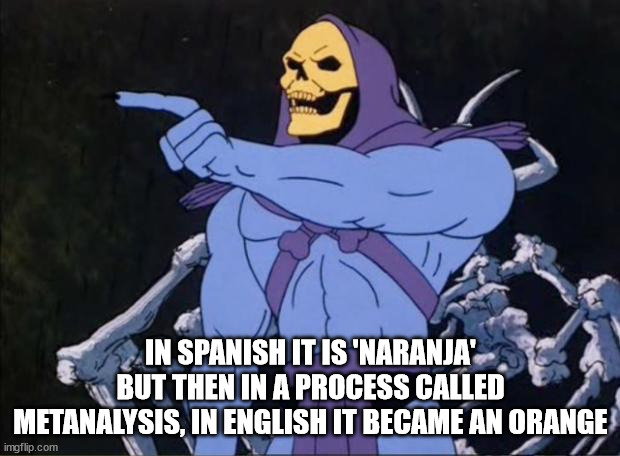 Skeletor | IN SPANISH IT IS 'NARANJA' BUT THEN IN A PROCESS CALLED METANALYSIS, IN ENGLISH IT BECAME AN ORANGE | image tagged in skeletor | made w/ Imgflip meme maker