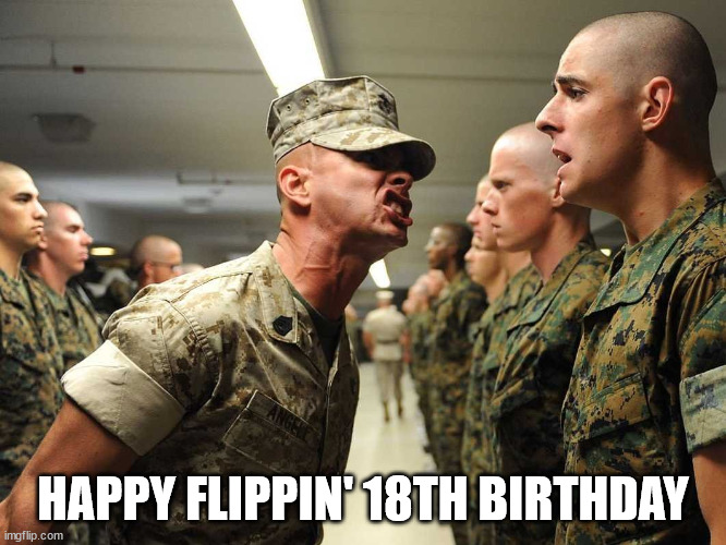 Shouting Soldiers | HAPPY FLIPPIN' 18TH BIRTHDAY | image tagged in shouting soldiers | made w/ Imgflip meme maker