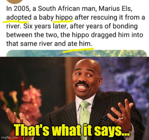 That's what it says... | image tagged in memes,steve harvey | made w/ Imgflip meme maker