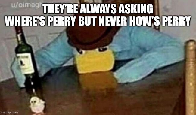 Sad Perry | THEY’RE ALWAYS ASKING WHERE’S PERRY BUT NEVER HOW’S PERRY | image tagged in sad perry | made w/ Imgflip meme maker