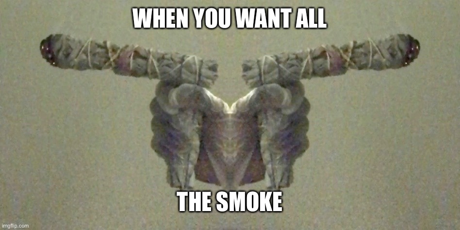 When you want all the smoke | WHEN YOU WANT ALL; THE SMOKE | image tagged in sage,banishing,energy,spiritual | made w/ Imgflip meme maker