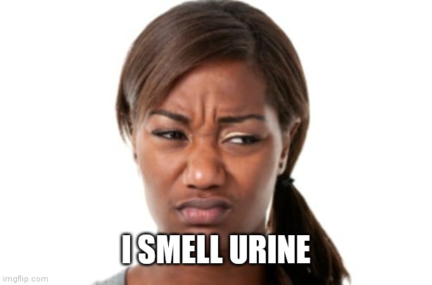 bad smell | I SMELL URINE | image tagged in bad smell | made w/ Imgflip meme maker