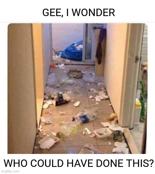 Peeking Dog | GEE, I WONDER; WHO COULD HAVE DONE THIS? | image tagged in guilty,bad dog,trash,hiding,funny,dog memes | made w/ Imgflip meme maker
