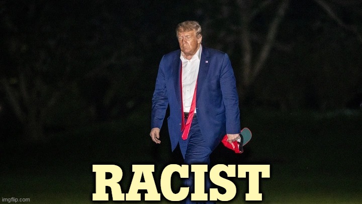 Trump Tulsa Big Fat Loser Defeat | RACIST | image tagged in trump tulsa big fat loser defeat,trump,racist,white supremacy,hate,race card | made w/ Imgflip meme maker