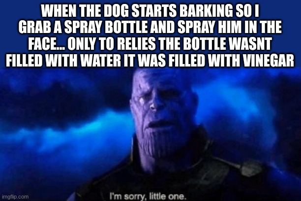 dont worry this didnt actually happen lol | WHEN THE DOG STARTS BARKING SO I GRAB A SPRAY BOTTLE AND SPRAY HIM IN THE FACE... ONLY TO RELIES THE BOTTLE WASNT FILLED WITH WATER IT WAS FILLED WITH VINEGAR | image tagged in im sorry little one,dog,barking,spray,bottle,vinegar | made w/ Imgflip meme maker