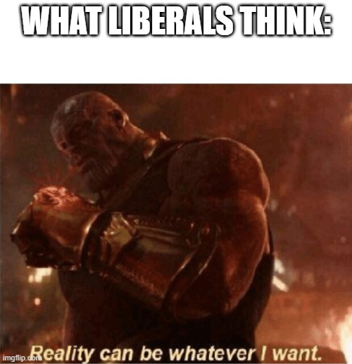 Reality can be whatever I want. | WHAT LIBERALS THINK: | image tagged in reality can be whatever i want | made w/ Imgflip meme maker