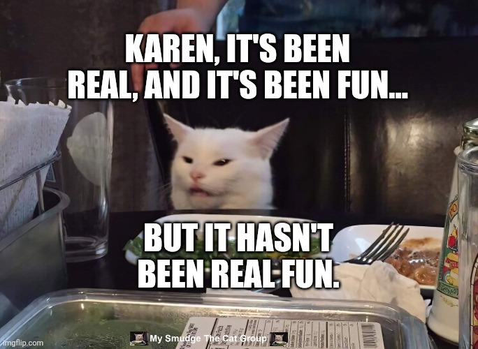 KAREN, IT'S BEEN REAL, AND IT'S BEEN FUN... BUT IT HASN'T BEEN REAL FUN. | image tagged in smudge the cat | made w/ Imgflip meme maker