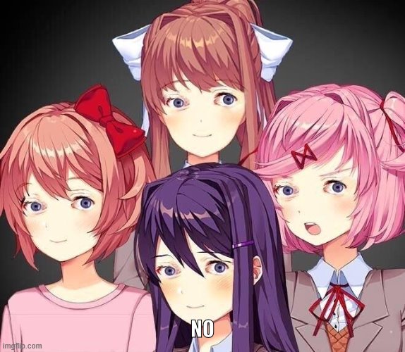 DDLC Eyess | NO | image tagged in ddlc eyess | made w/ Imgflip meme maker