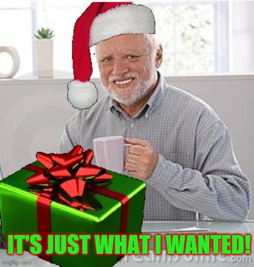 Christmas Present Hide the Pain Harold | IT'S JUST WHAT I WANTED! | image tagged in christmas present hide the pain harold | made w/ Imgflip meme maker