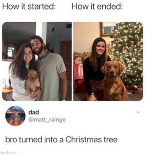 image tagged in started,ended,memes,christmas tree | made w/ Imgflip meme maker
