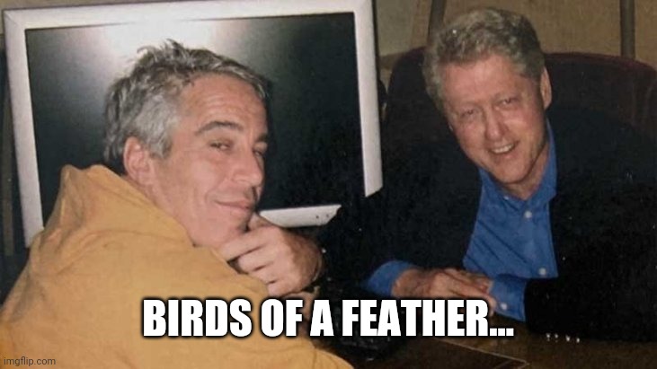 Epstein Clinton Memes | BIRDS OF A FEATHER... | image tagged in epstein clinton memes | made w/ Imgflip meme maker