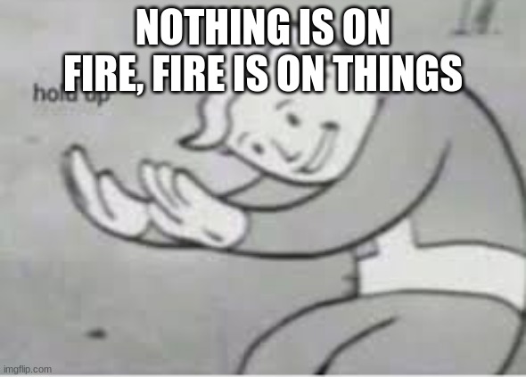 Hol up | NOTHING IS ON FIRE, FIRE IS ON THINGS | image tagged in hol up | made w/ Imgflip meme maker