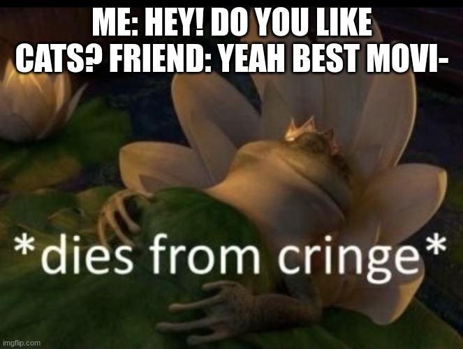 Dies from cringe | ME: HEY! DO YOU LIKE CATS? FRIEND: YEAH BEST MOVI- | image tagged in dies from cringe | made w/ Imgflip meme maker