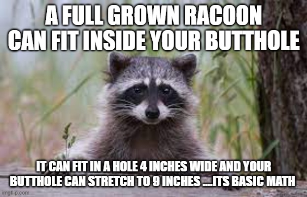 COON | A FULL GROWN RACOON CAN FIT INSIDE YOUR BUTTHOLE; IT CAN FIT IN A HOLE 4 INCHES WIDE AND YOUR BUTTHOLE CAN STRETCH TO 9 INCHES ....ITS BASIC MATH | image tagged in funny memes,dirty meme week | made w/ Imgflip meme maker