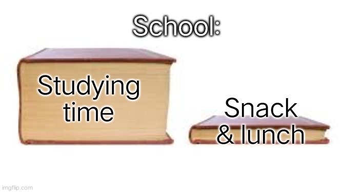 yes, this is school. how about you? | School:; Snack & lunch; Studying time | image tagged in big book small book | made w/ Imgflip meme maker