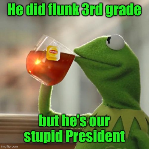 But That's None Of My Business Meme | He did flunk 3rd grade but he’s our stupid President | image tagged in memes,but that's none of my business,kermit the frog | made w/ Imgflip meme maker