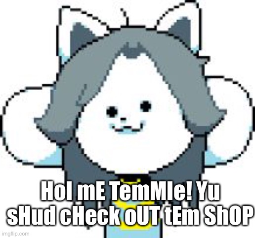 HoI mE temMMie | HoI mE TemMIe! Yu sHud cHeck oUT tEm ShOP | image tagged in temmie | made w/ Imgflip meme maker