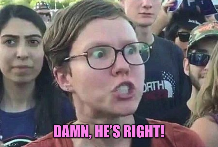 Triggered Liberal | DAMN, HE’S RIGHT! | image tagged in triggered liberal | made w/ Imgflip meme maker