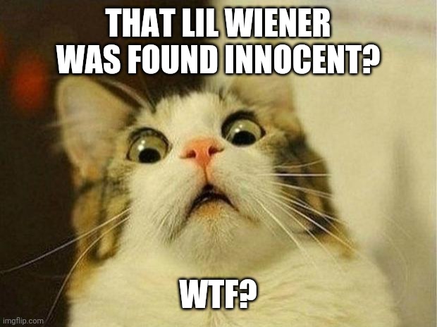 Injustice | THAT LIL WIENER WAS FOUND INNOCENT? WTF? | image tagged in memes,scared cat | made w/ Imgflip meme maker
