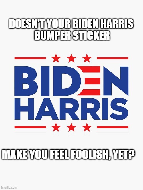 biden harris | DOESN'T YOUR BIDEN HARRIS 
BUMPER STICKER; MAKE YOU FEEL FOOLISH, YET? | image tagged in political meme | made w/ Imgflip meme maker