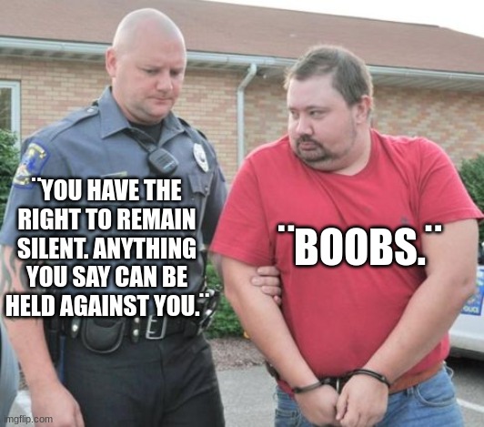 you have the right to remain silent | ¨BOOBS.¨; ¨YOU HAVE THE RIGHT TO REMAIN SILENT. ANYTHING YOU SAY CAN BE HELD AGAINST YOU.¨ | image tagged in man get arrested,boobs,police,arrested,redneck | made w/ Imgflip meme maker