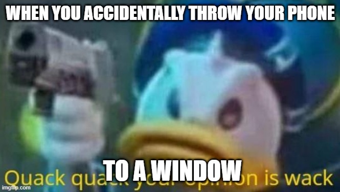 quack quack your opinion is wack | WHEN YOU ACCIDENTALLY THROW YOUR PHONE; TO A WINDOW | image tagged in quack quack your opinion is wack | made w/ Imgflip meme maker