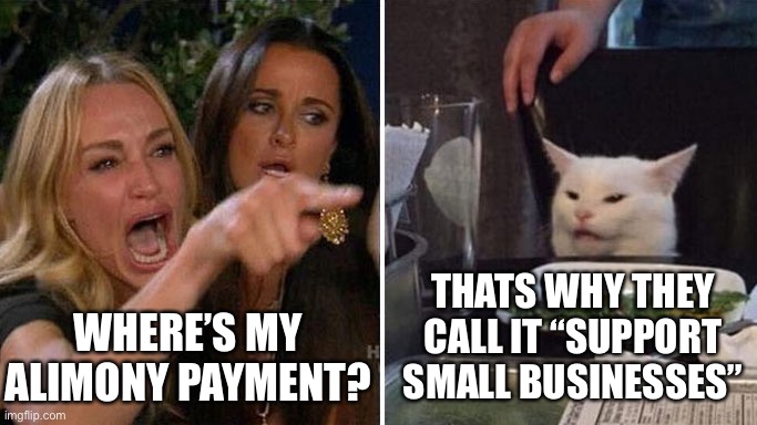 Support Small Businesses | WHERE’S MY ALIMONY PAYMENT? THATS WHY THEY CALL IT “SUPPORT SMALL BUSINESSES” | image tagged in angry lady cat,white cat,ex wife | made w/ Imgflip meme maker