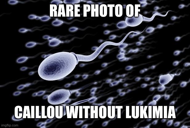 sperm swimming | RARE PHOTO OF; CAILLOU WITHOUT LUKIMIA | image tagged in sperm swimming | made w/ Imgflip meme maker