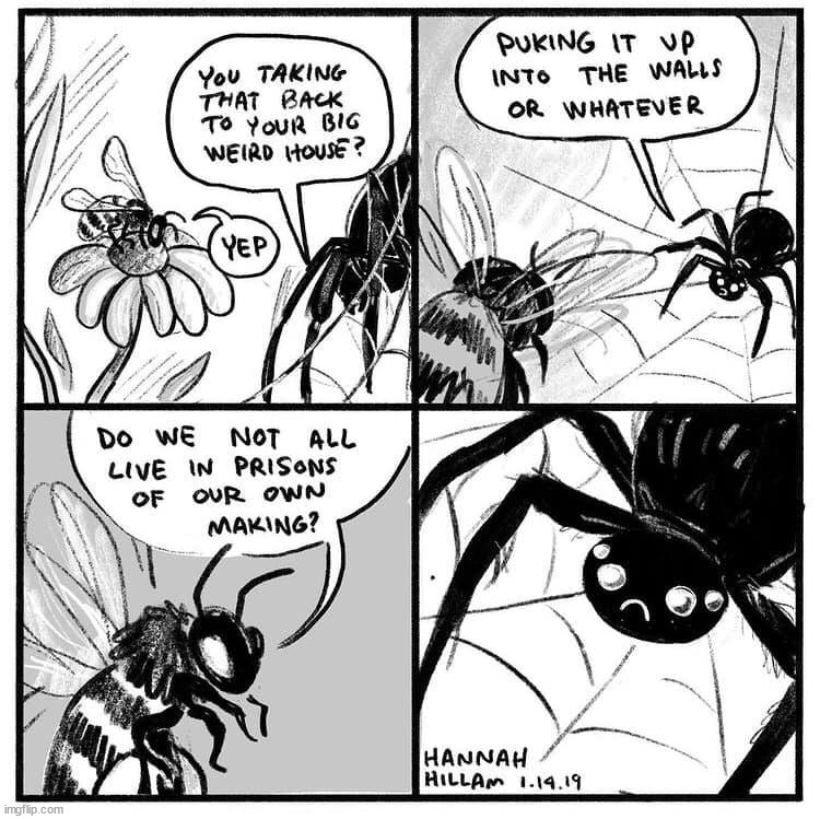 image tagged in comics/cartoons | made w/ Imgflip meme maker