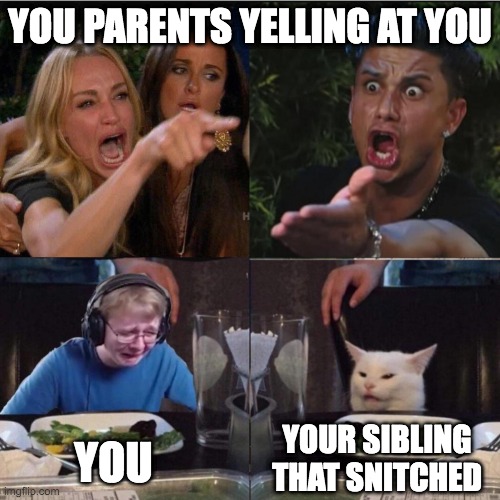 Four panel Taylor Armstrong Pauly D CallmeCarson Cat |  YOU PARENTS YELLING AT YOU; YOUR SIBLING THAT SNITCHED; YOU | image tagged in four panel taylor armstrong pauly d callmecarson cat | made w/ Imgflip meme maker