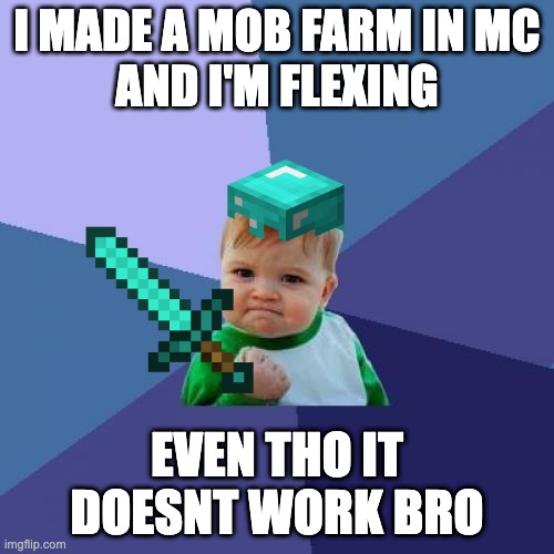Success Kid | I MADE A MOB FARM IN MC
AND I'M FLEXING; EVEN THO IT DOESNT WORK BRO | image tagged in memes,success kid | made w/ Imgflip meme maker