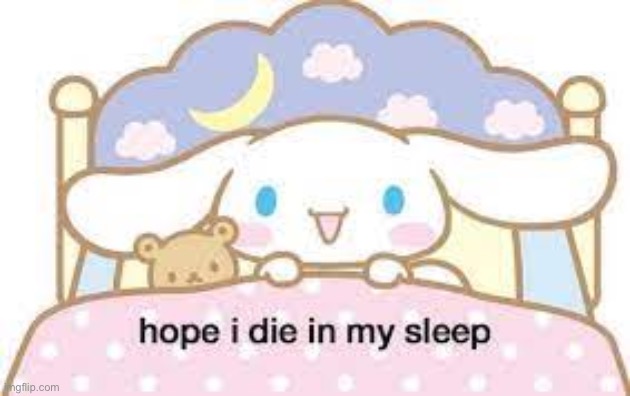 hope i die in my sleep | image tagged in hope i die in my sleep | made w/ Imgflip meme maker
